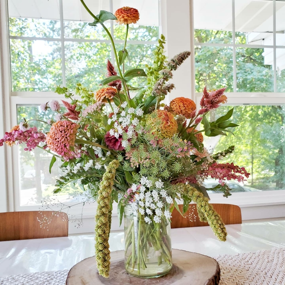 Meet your Posher, Cristy